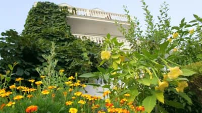 The house behind its flower garden