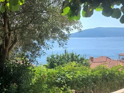 The bay through the olive branches, over the terracotta rooftops below the villa