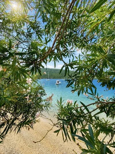 The pebble beach below the villa, seen through flowering oleander