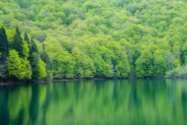 Biogradsko Lake surrounded by old forest