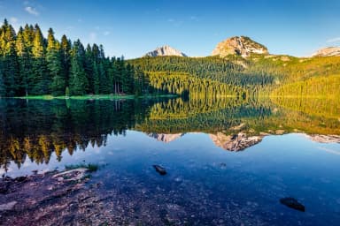 Black Lake below the forest and Durmitor peaks