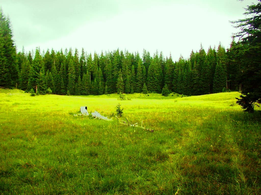 UNESCO Durmitor 2026: What Is Protected and How to Visit