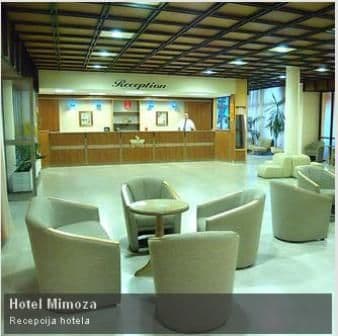 mimoza4.jpg