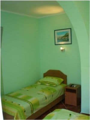 penovic slika kotor.jpg