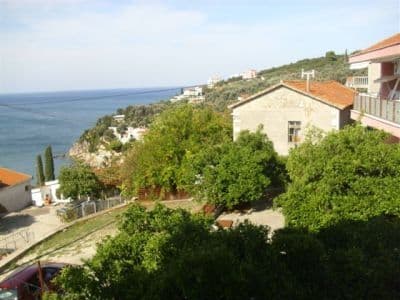 OMEGA 1-6.jpg