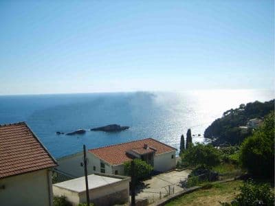 view..jpg