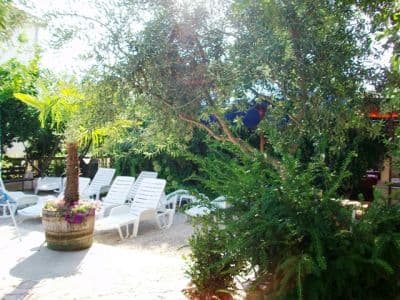 Garden 1.JPG
