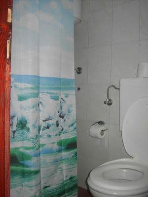 13.JPG