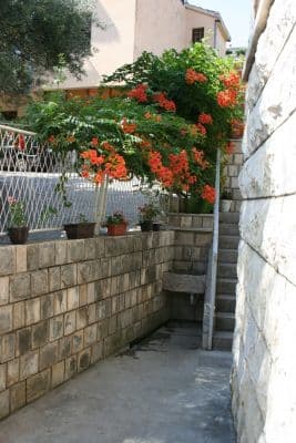 IMG_0032.jpg