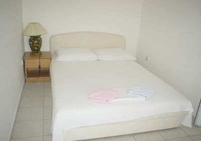 pansion8