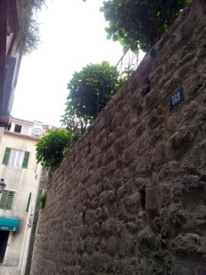 2012-05-12 broj 369.JPG
