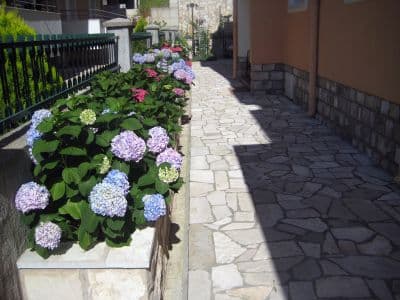 Slika_29.jpg