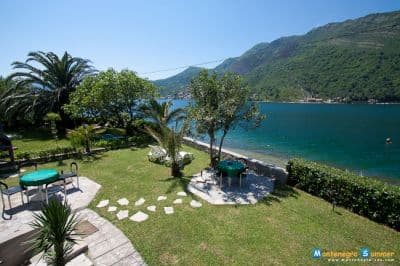 IMG_4703.jpg