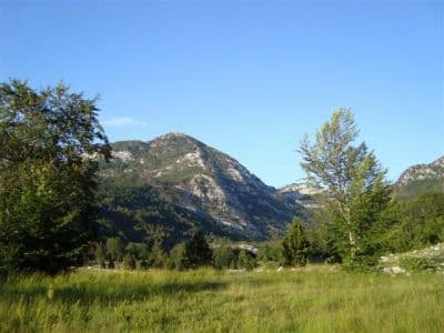 DSC02266 (Small).jpg