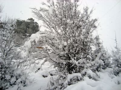 DSC07372.jpg