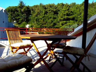 Park view from terrace.jpg