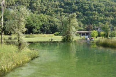 Auto Naluka 3
