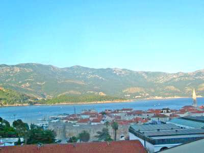 IMG_0205.jpg