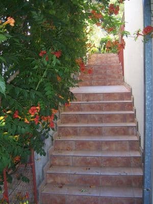 100_2288.JPG