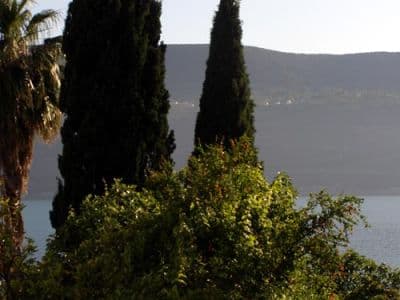 pogled