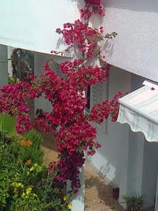 fotografija0068_001.jpg