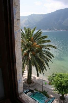 IMG_0050.jpg