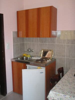 P1010007.jpg