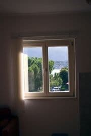 IMG_0005.jpg