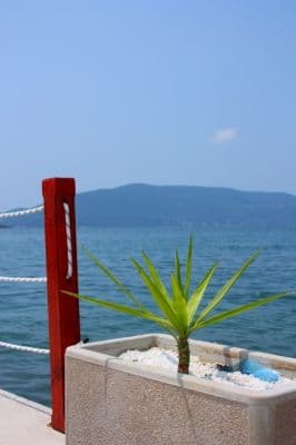 IMG_4734.JPG