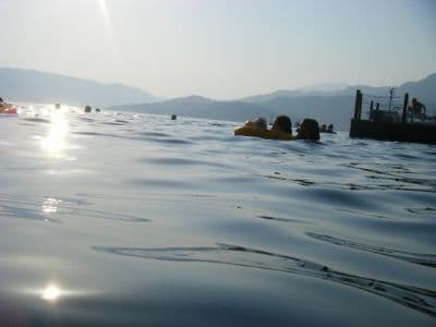kumbor2.jpg