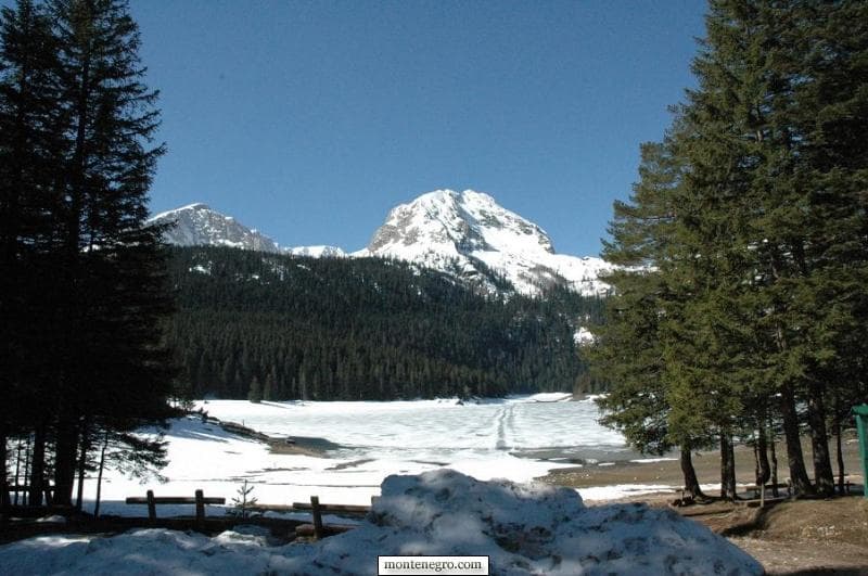 L'estate arriva lentamente sul Durmitor