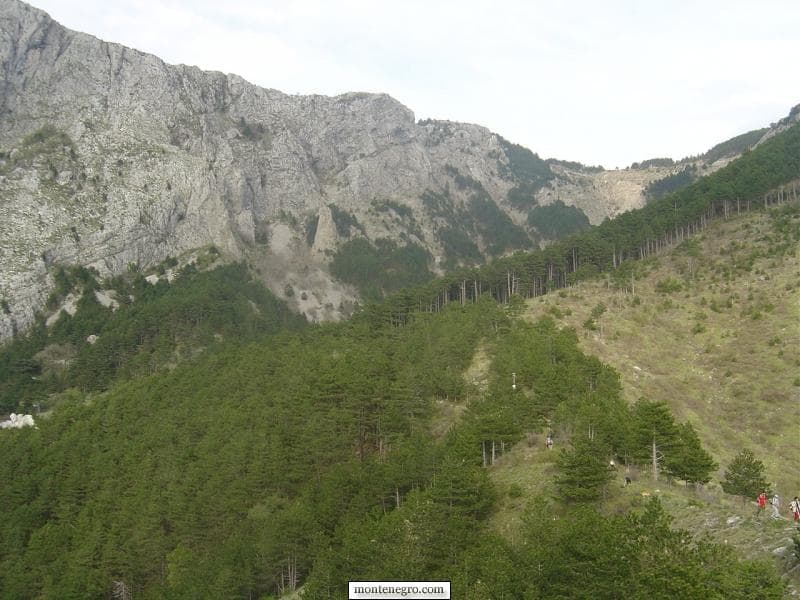 Lovćen to Kotor: Reading the Old Mountain Routes