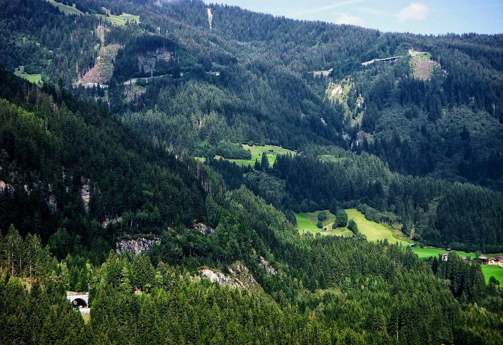 Andrijevica