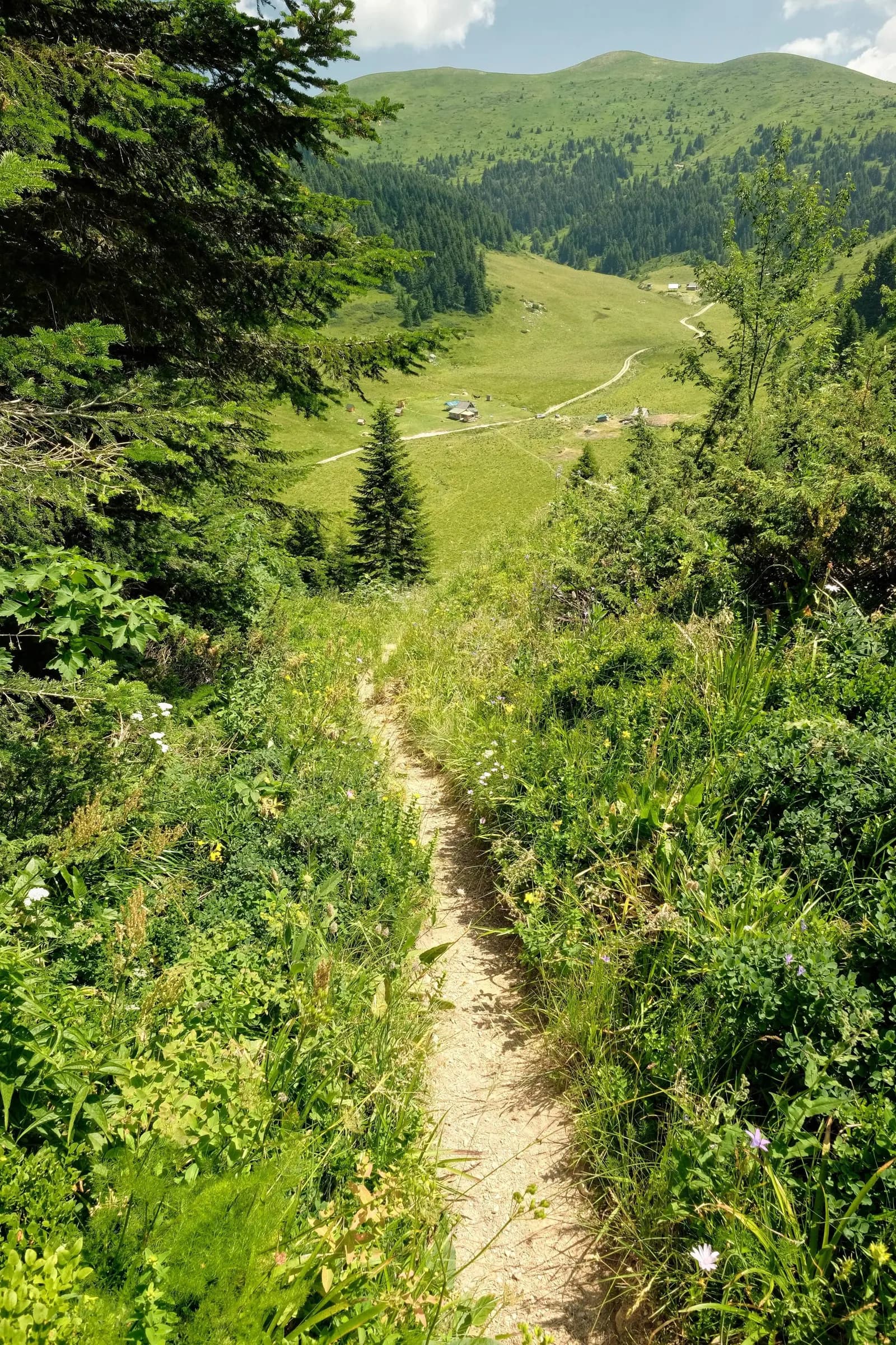 Berane - Crna Gora