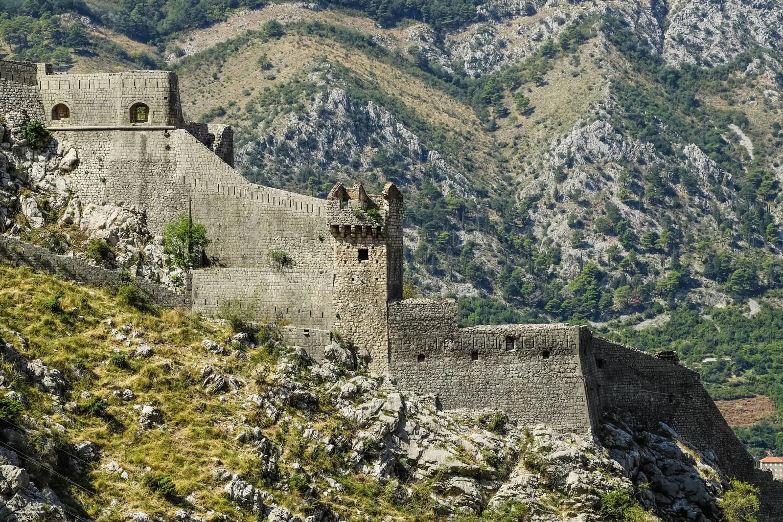 Muros de Kotor