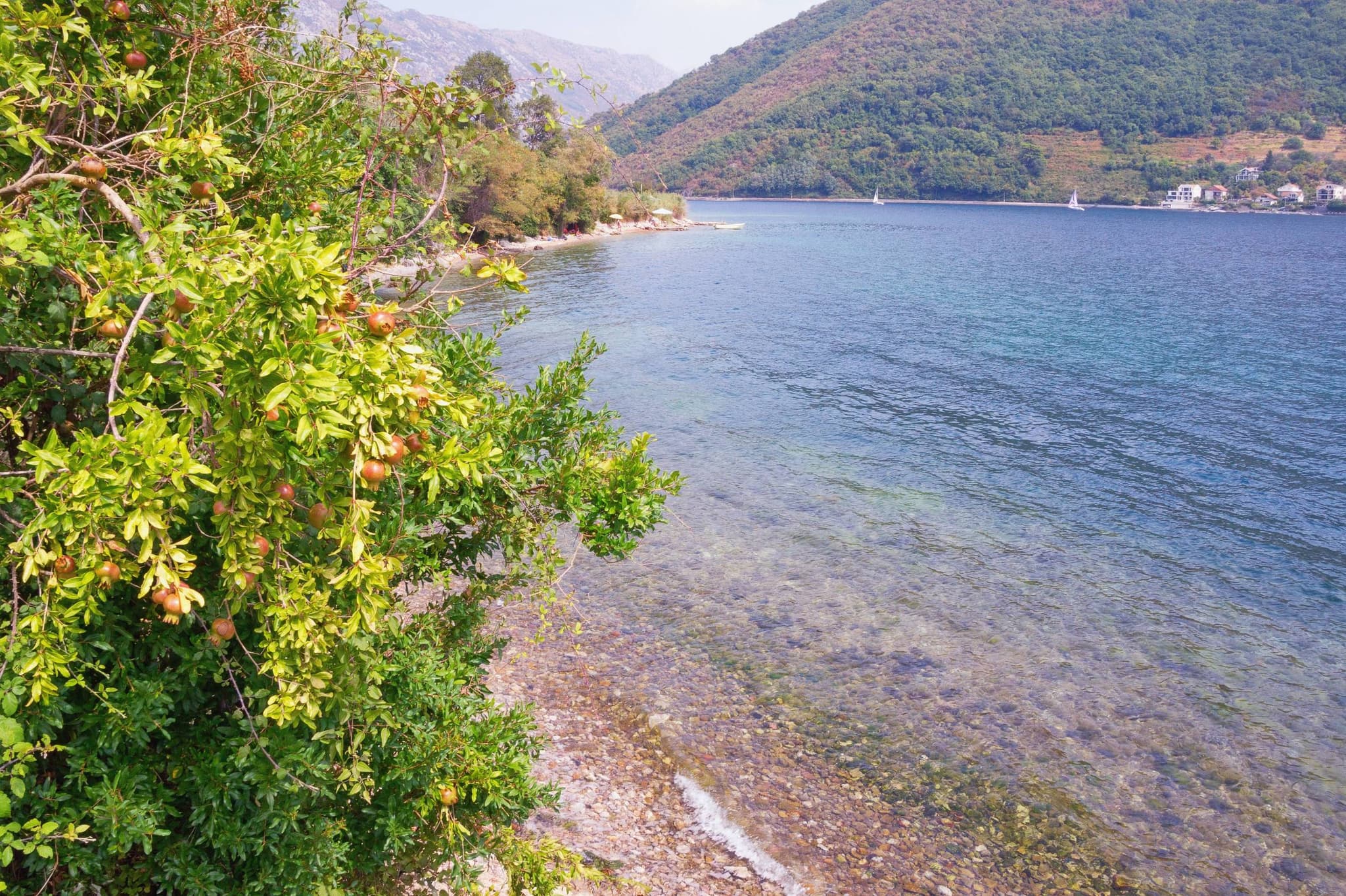Kostanjica-Montenegro