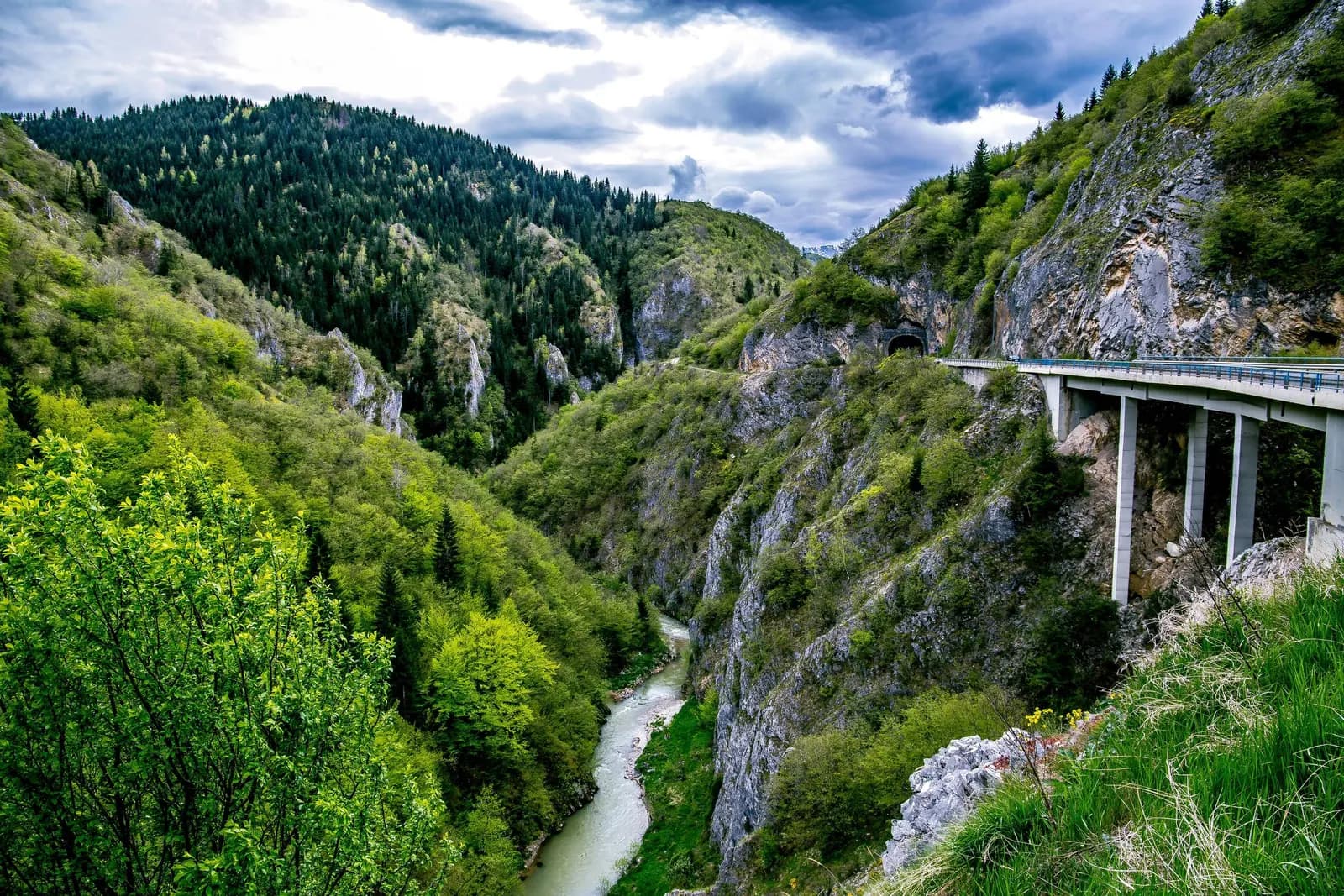 Rozaje