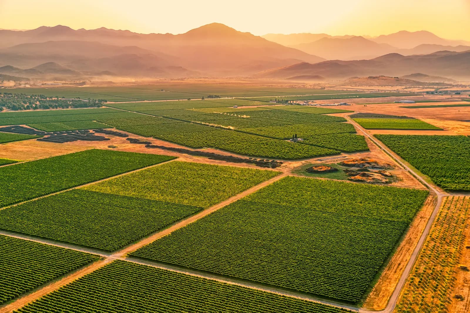 Recorrido de Vinos de Montenegro
