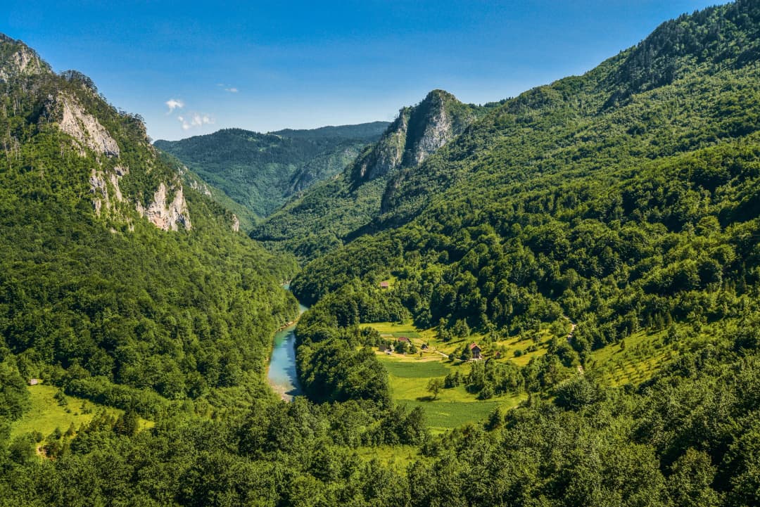 Bewaldete Hänge, die in die Schlucht der Tara abfallen