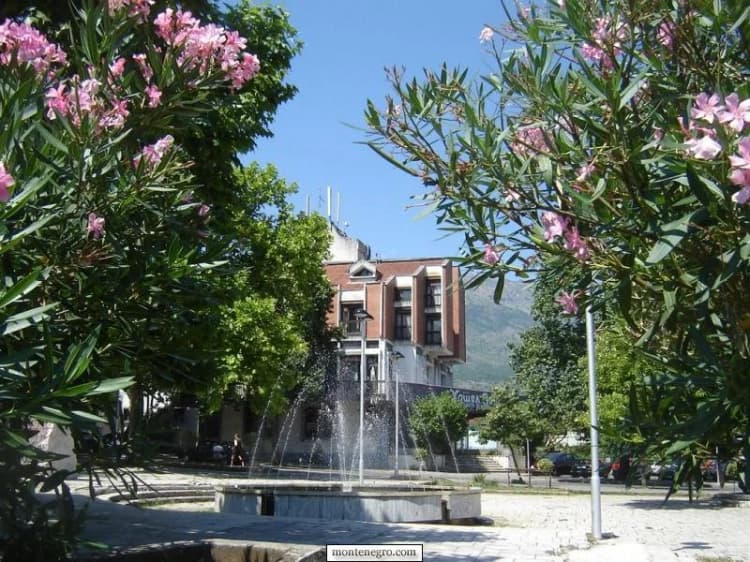 Brunnen und öffentliche Gebäude im Zentrum von Danilovgrad