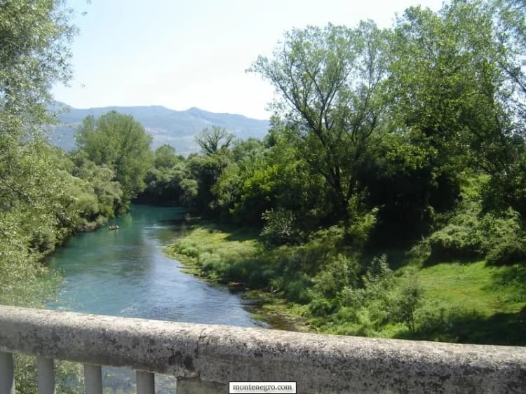 Bewaldete Ufer und klar wirkendes Wasser der Zeta, von einer Brücke aus gesehen