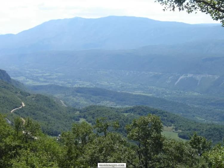 Die weite Bjelopavlići-Ebene unterhalb bewaldeter Berghänge