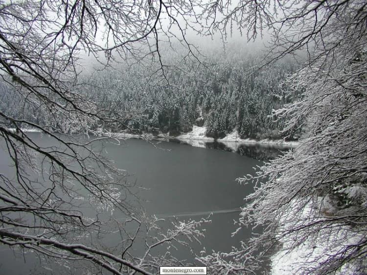 Snow-covered branches framing a dark mountain lake