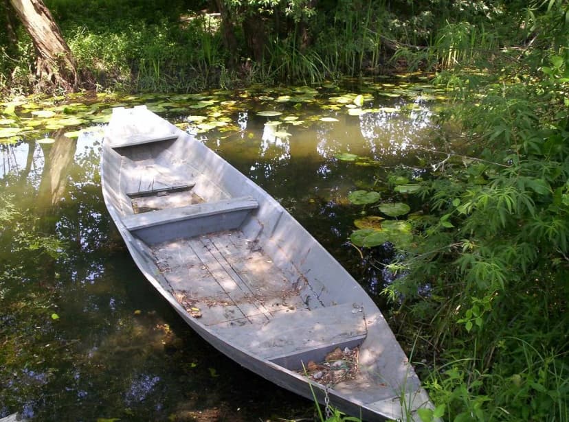 Small boat on the wetlands near Žabljak Crnojevića
