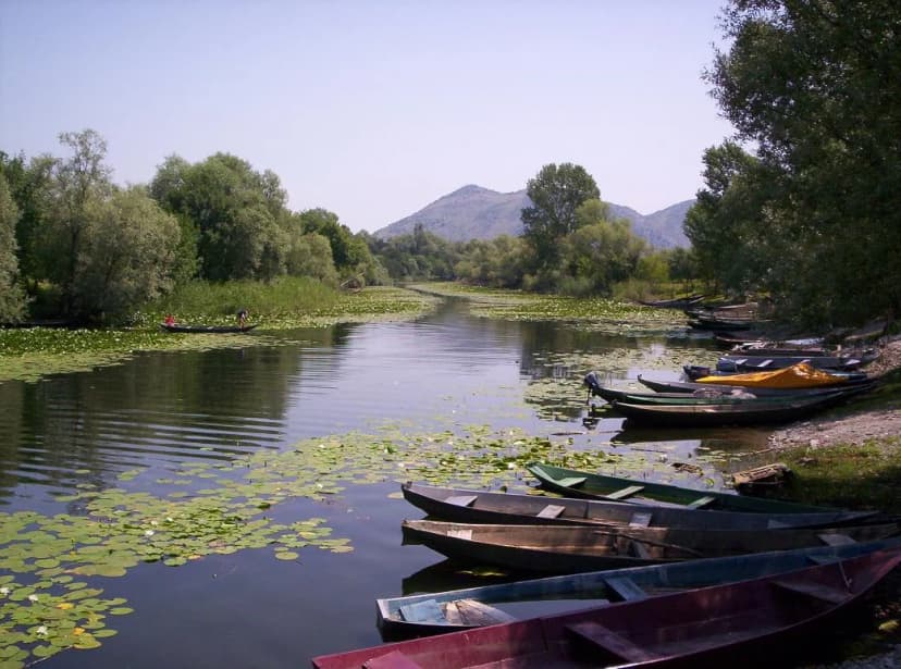 Lake and marsh landscape surrounding Žabljak Crnojevića