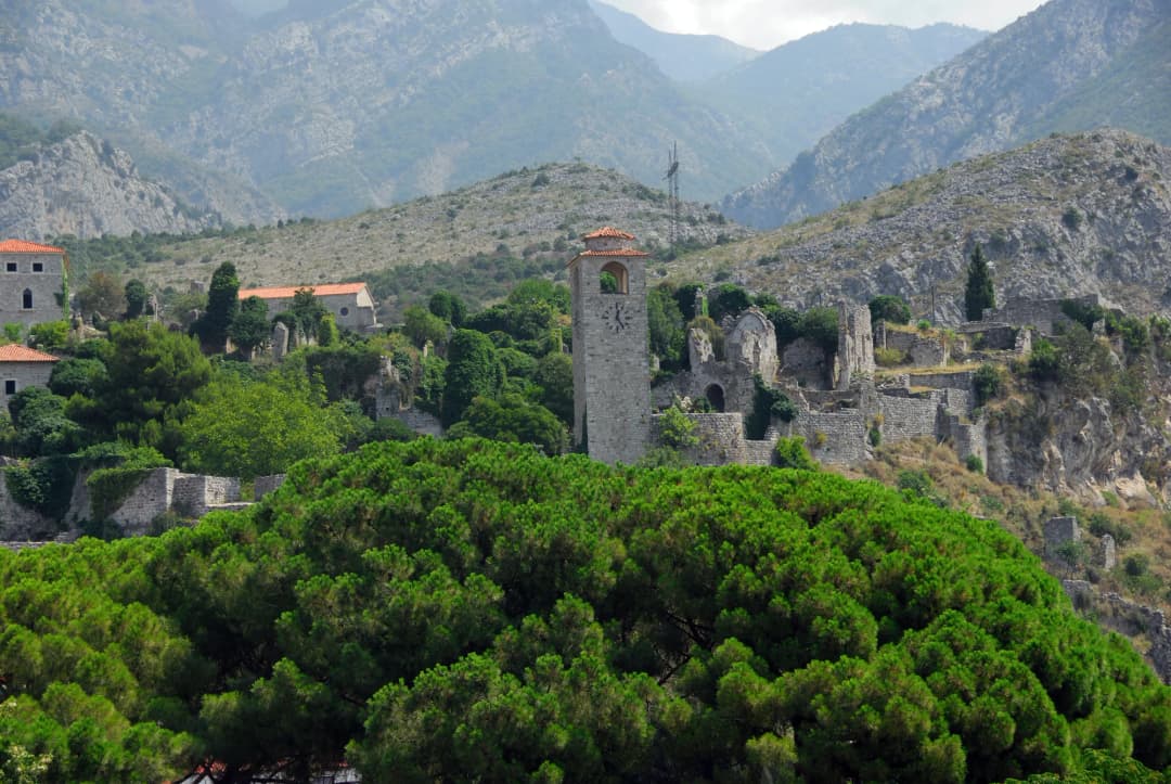 Primer plano de aceite de oliva siendo vertido en una copa de degustación, con ramas de olivo y paisaje montenegrino de fondo