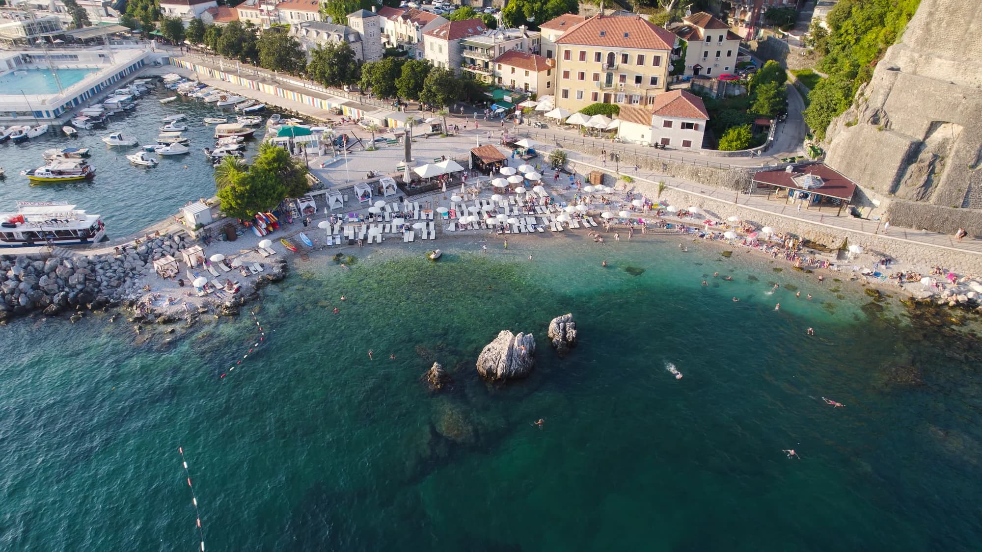 Montenegro.com: Documented 1996 Origins and Reader Guide