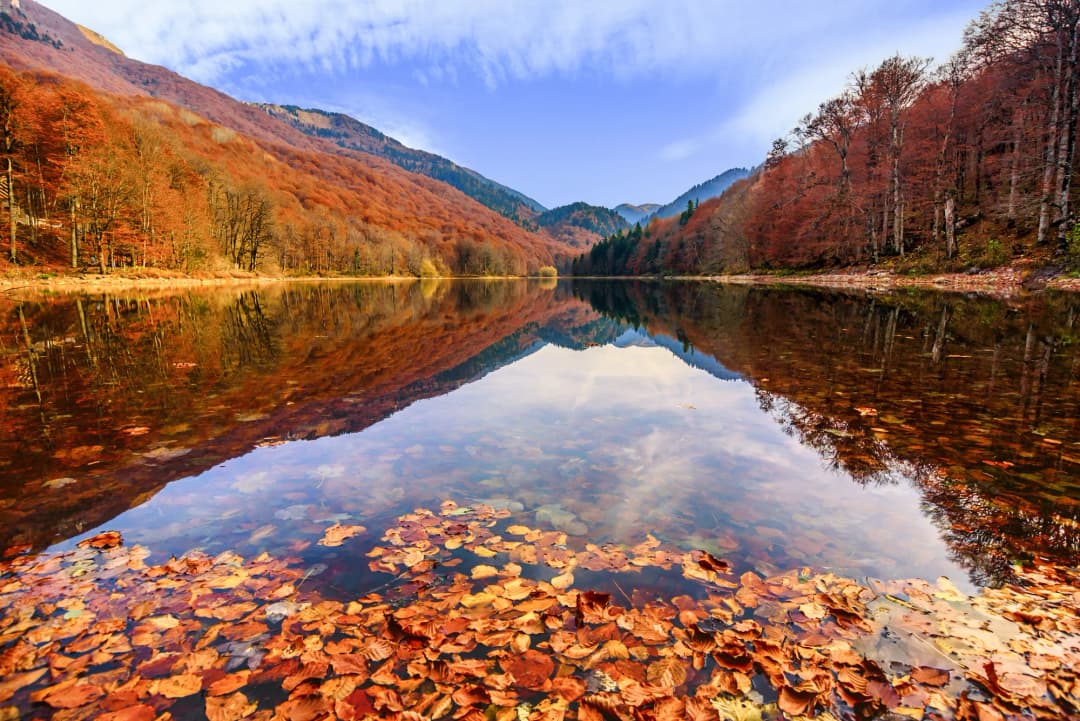 Biogradska Gora's glacial lake ringed by dense old-growth forest