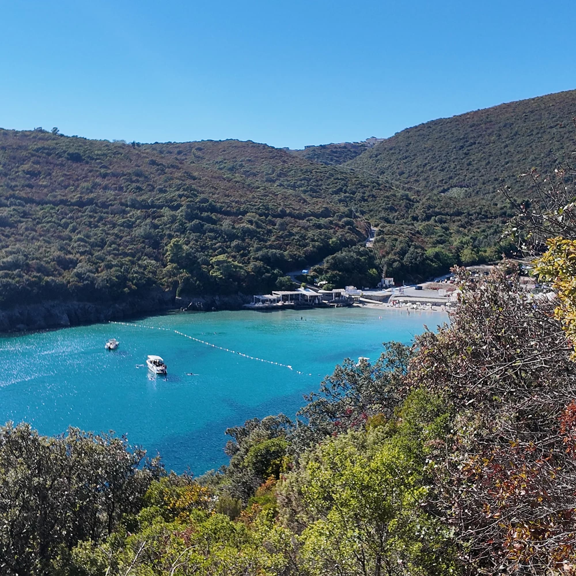 Trsteno cove from the hill: turquoise water inside the buoy line, two boats at anchor, the small sand beach with its beach club and car park under the scrub-covered slopes