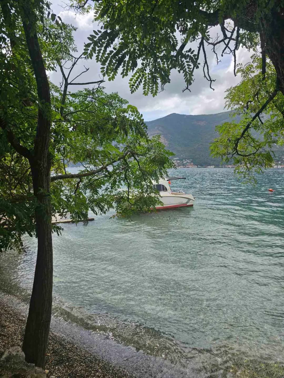 A small boat moored just off the Dobrota shoreline in clear, shallow water, with the steep sides of the inner Bay of Kotor rising behind it.